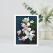 Apple Blossom Branch Postkarte (Stehend Vorderseite)