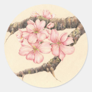 Apple Blossom Branch Runder Aufkleber