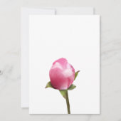 Apple Blossom Bud Feiertagskarte (Vorderseite)