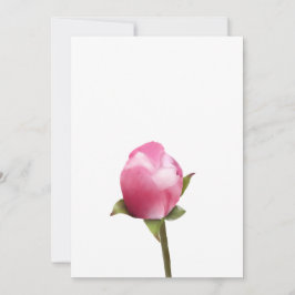 Apple Blossom Bud Feiertagskarte