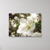 Apple Blossom Canvas Print Leinwanddruck (Vorderseite)