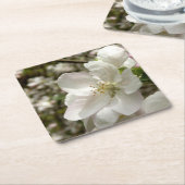 Apple Blossom Coaster Rechteckiger Pappuntersetzer (angewinkelt)