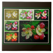 Apple Blossom Collage - Verbessertes digitales Fot Fliese (Vorderseite)