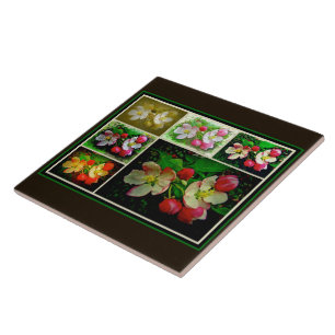 Apple Blossom Collage - Verbessertes digitales Fot Fliese