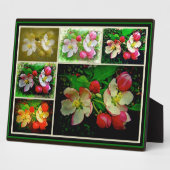 Apple Blossom Collage - Verbessertes digitales Fot Fotoplatte (Seite)