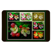 Apple Blossom Collage - Verbessertes digitales Fot Magnet (Horizontal)