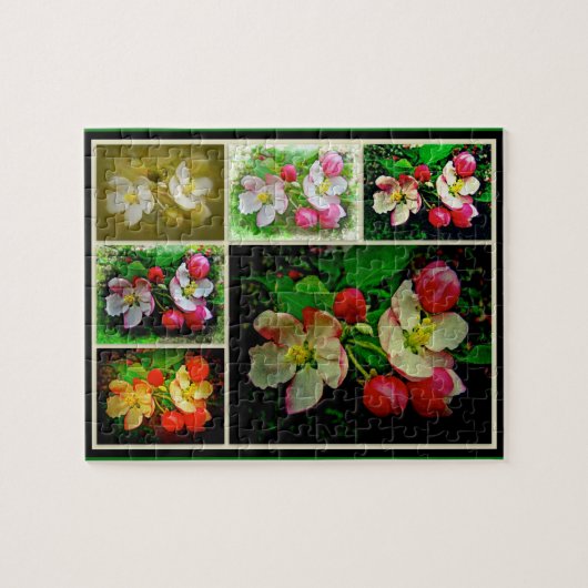 Apple Blossom Collage - Verbessertes digitales Fot Puzzle (Horizontal)