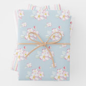 Apple Blossom Collection Geschenkpapier Set (Beispiel)