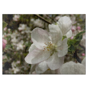 Apple Blossom Decorative Glass Chopping Board Schneidebrett