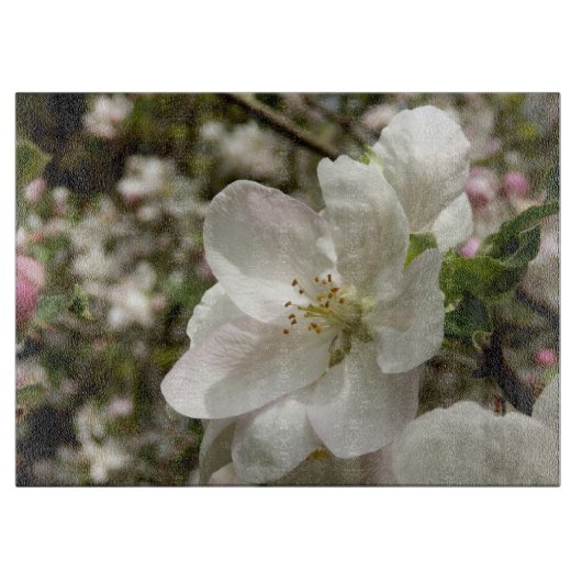 Apple Blossom Decorative Glass Chopping Board Schneidebrett (Vorderseite)