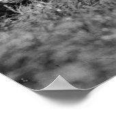 Apple Blossom Festival, 1920er Poster (Ecke)