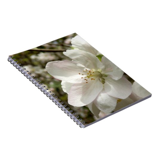 Apple Blossom Foto Notebook Notizblock (Rechte Seite)