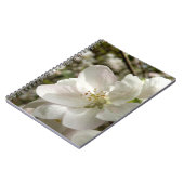 Apple Blossom Foto Notebook Notizblock (Linke Seite)