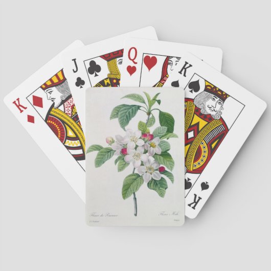 Apple Blossom, from 'Les Choix des Plus Belles Spielkarten (Rückseite)