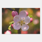Apple Blossom Geschenkpapier Set (Vorderseite 2)