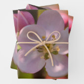 Apple Blossom Geschenkpapier Set (Beispiel)