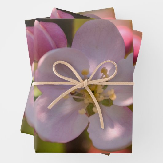 Apple Blossom Geschenkpapier Set (Beispiel)