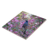 Apple Blossom Grackle Fliese (Seite)