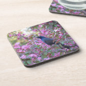 Apple Blossom Grackle Getränkeuntersetzer (Linke Seite)