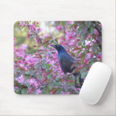 Apple Blossom Grackle Mousepad (Mit Mouse)