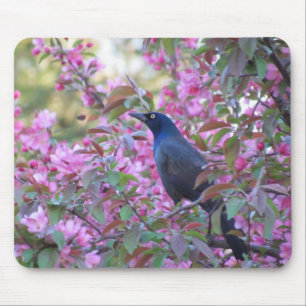 Apple Blossom Grackle Mousepad