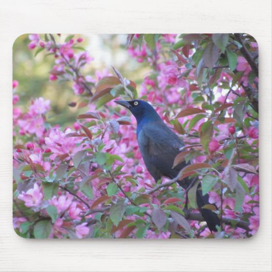 Apple Blossom Grackle Mousepad (Vorne)