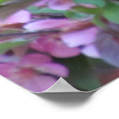 Apple Blossom Grackle Poster (Ecke)