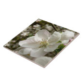 Apple Blossom Keramik Foto Tile Fliese (Seite)