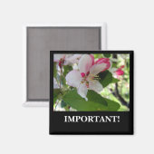 Apple Blossom | Magnet (Vorderseite/Rückseite)