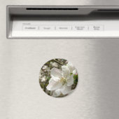 Apple Blossom Magnet (In Situ (Geschirrspüler))