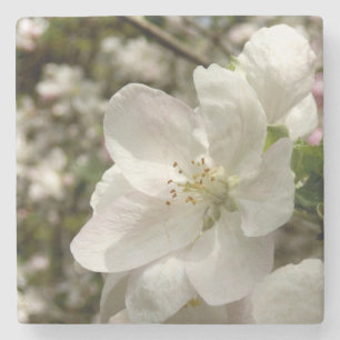 Apple Blossom Marble Stone Untersetzer