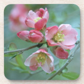 Apple Blossom #P0356 Cork Untersetzer (Vorderseite)