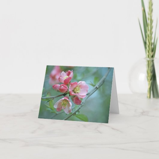 Apple Blossom #P0356 Karte (Vorderseite)