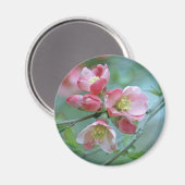 Apple Blossom #P0356 Magnet (Vorderseite/Rückseite)