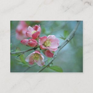 Apple Blossom #P0356 Mini Print Visitenkarte