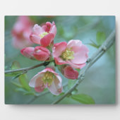 Apple Blossom #P0356 Plaque Fotoplatte (Vorderseite)