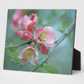 Apple Blossom #P0356 Plaque Fotoplatte (Seite)