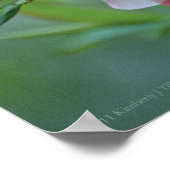 Apple Blossom #P0356 Poster (Ecke)