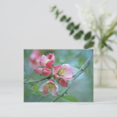 Apple Blossom #P0356 Postkarte (Stehend Vorderseite)