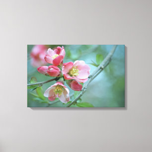 Apple Blossom #P0356 Wrapped Canvas Leinwanddruck