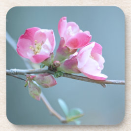 Apple Blossom #P0358 Cork Untersetzer