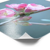 Apple Blossom #P0358 Foto (Ecke)