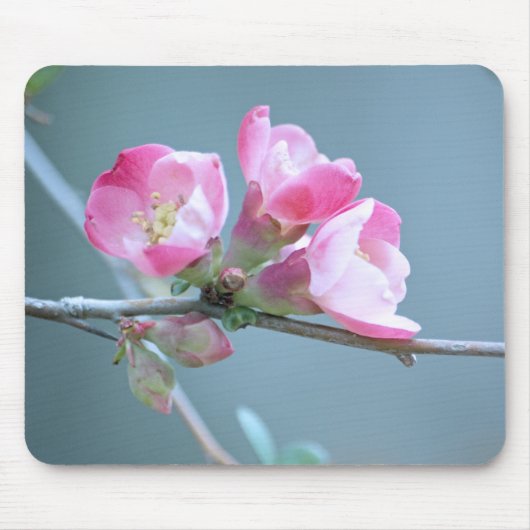 Apple Blossom #P0358 Mousepad (Vorne)