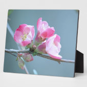Apple Blossom #P0358 Plaque Fotoplatte (Seite)