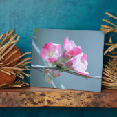 Apple Blossom #P0358 Plaque Fotoplatte (Seite)
