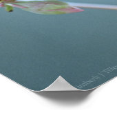 Apple Blossom #P0358 Poster (Ecke)