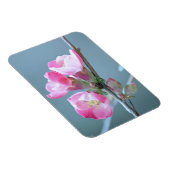 Apple Blossom #P0358 Vinyl Magnet (Rechte Seite)