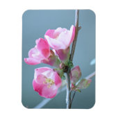 Apple Blossom #P0358 Vinyl Magnet (Vertikal)