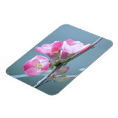 Apple Blossom #P0358 Vinyl Magnet (Linke Seite)