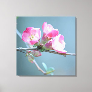 Apple Blossom #P0358 Wrapped Canvas Leinwanddruck